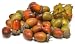 Artificial Fall Harvest Large Acorns - Package of 36