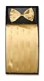 SILK Cumberbund