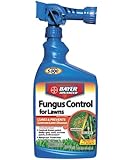 Bayer Advanced 701270 Fungus Control for Lawns Ready-To-Spray, 32-Ounce