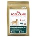 Details About Royal Canin MAXI Canine Health Nutrition Golden Retriever 25