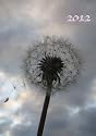 Kalender 2012 - Pusteblume: 1 Woche pro Doppelseite, DIN A 5