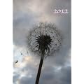 Kalender 2012 - Pusteblume: 1 Woche pro Doppelseite, DIN A 5