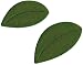 QuicKutz  RS-0149 2 by 2-Inch Dies, Daisy Leaves
