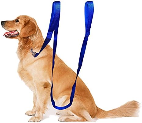 LuWees Dog Leash with Soft and Thick Padded Double Handles,Extra Long 8ft Lead,Heavy Duty,Perfect for Large Dog or Medium Dog,Protect Dog in Traffic,Blue