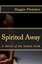 Spirited Away - A Novel of the Stolen Irish