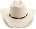 Stetson-Men's-Alamo-Hat,-Natural,-7-5-8_4.jpg