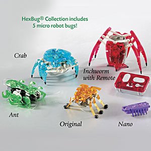 Complete HexBug Collection! Complete HexBug Collection!