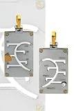 Stainless Steel Mood Pendant Includes 20 Necklace