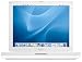 エレ: Apple iBook (1.2G, 12.1, 256, 32V, 30G, Combo, E, AMX, 56K) [M9623J/A]