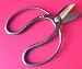 41YJ5mV9CeL. SL75  Japanese Bonsai Shears