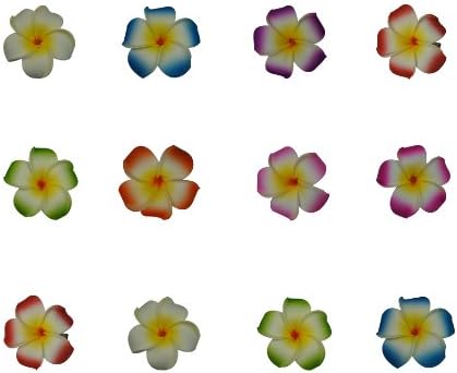 Hawaiian Plumeria Flower Bridal Wedding Party Foam Hair Clip Accessory Set 12 Jewelry By Phantom of the Opera