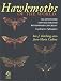 Hawkmoths of the World: An Annotated and Illustrated Revisionary Checklist (Lepidopte...