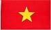 Vietnam National Country Flag - 3 foot by 5 foot Polyester (New) - present