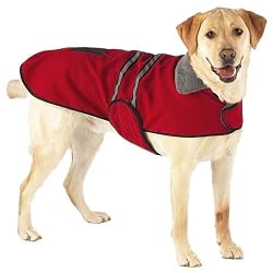 CasualCanineReflectiveJacketXxlRed