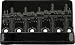 DIRTCHEAP� 5 ST BASS BR BLACK