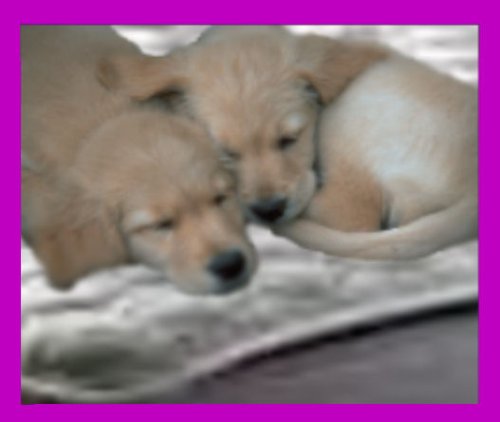 image link - - B000A44KOI