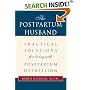 The Postpartum Husband: Practical Solutions for living with Postpartum Depression