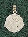 Anderson Jewelry Clemson Tigers Seal Gold Charm