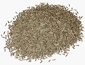 Childrens Toyshop  Gourmet Food : One pound Whole Cumin