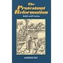 The Protestant Reformation: Belief, Practice and Tradition (Sussex Library of Religious Beliefs and Practices)