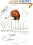Wildlife Painting Basics: Waterfowl & Wading Birds