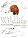 Wildlife Painting Basics Waterfowl & Wading Birds