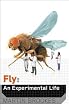 Fly: An Experimental Life