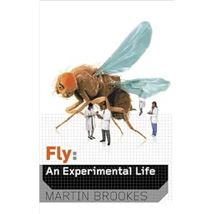 http://ecx.images-amazon.com/images/I/41YJY5B4C1L._SL500_AA300_.jpg Fly!