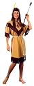 Indian Lady Costume Adult