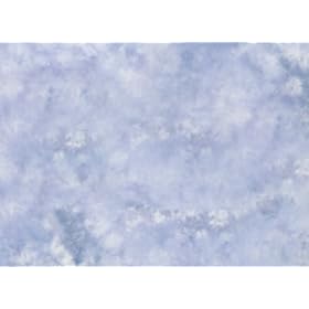 Lastolite LL LB7648 10 X 24-Feet Knitted Background (Maine)