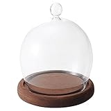 GREENHOUSE ウッディガラスドーム M ブラウン 3701-B-BR