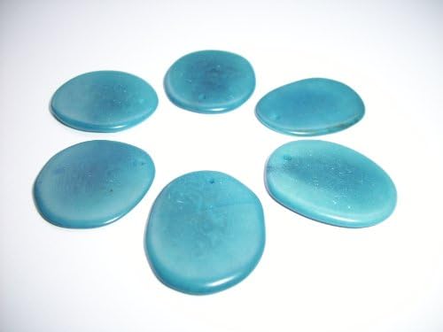 Tagua Nut Thin Slices Turquoise Medium Size Package of 6