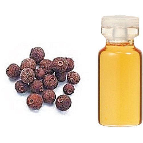 生活の木 C オールスパイス エッセンシャルオイル 10ml