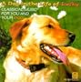 A Day in the life of Lucky: classical music for you & your dog