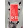 Equus (New Longman Literature 14-18)