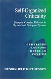 Self-Organized Criticality: Emergent Complex Behavior in Physical and Biological Systems (Cambridge Lecture Notes in Physics)
