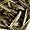 Junshan Yinzhen Tea Leaves - Gourmet White Teas - 1 Pound