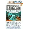 A Fortress Of Grey Ice: Sword of Shadows Vol 2 (Sword of Shadows S.)