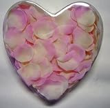 künstliche Rosenblätter creme rosa ca. 200 Stck. in Herzbox