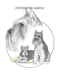 Schnauzer - Trio Image by Cindy Farmer