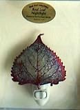 Real Cottonwood Leaf in Iridescent Copper Night Light