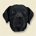 Labrador Retriever, Black Dog Head Magnet (2 in)