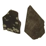 Obsidian Charger 02 Slab Set of 2 Snowflake Black Gray Stone Lapidary Natural Crystal Healing Protection Pair