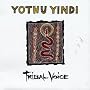 Tribal Voice Tribal Voice