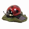 Solar Lady Bug
