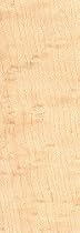 Maple Birds Eye Sample Standard collectors size 1/2'' x 3'' x 6''