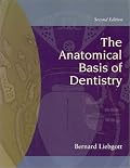The Anatomical Basis of Dentistry