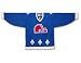Quebec Nordiques Vintage 1992 Dark NHL Hockey Jersey (CCM)