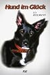 Hund im Gl�ck