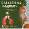 Cat Stevens Discography